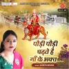 About Podi Podi Chadhte Hain Maa Ke Bhakt Sabhi Song